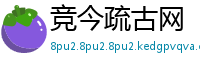竞今疏古网